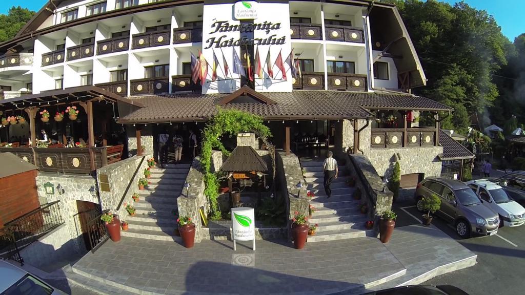 Hotel Fantanita Haiducului 3*